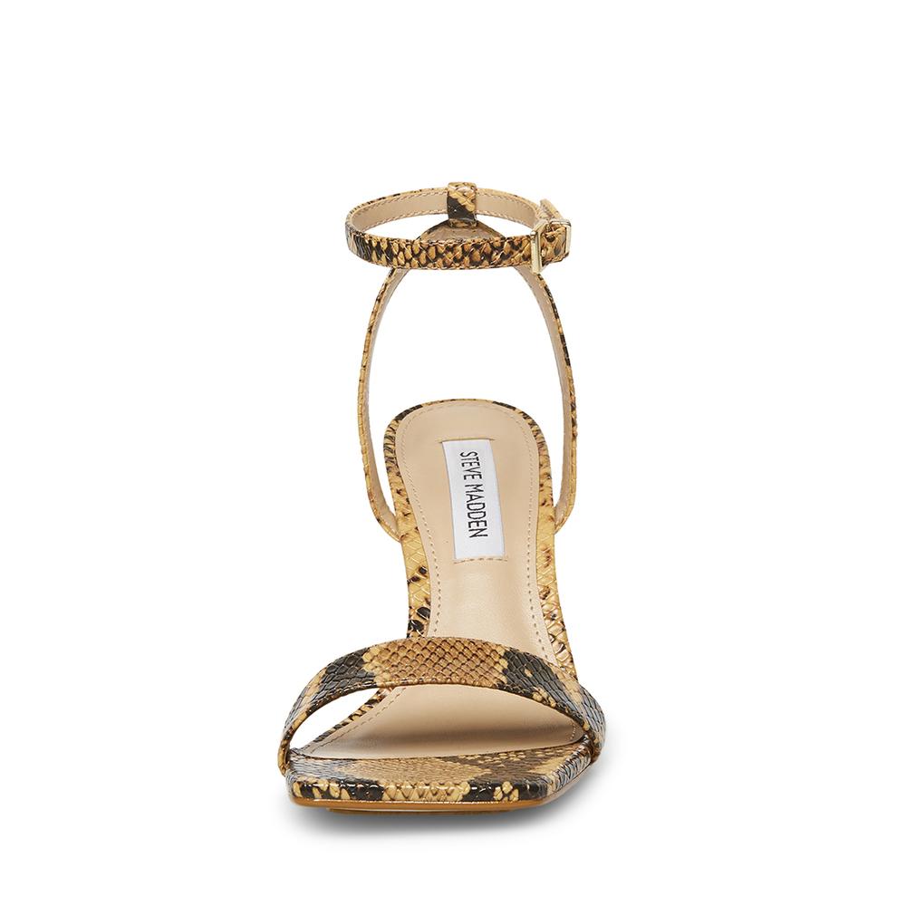 Steve Madden Women KARRI TAN SNAKE