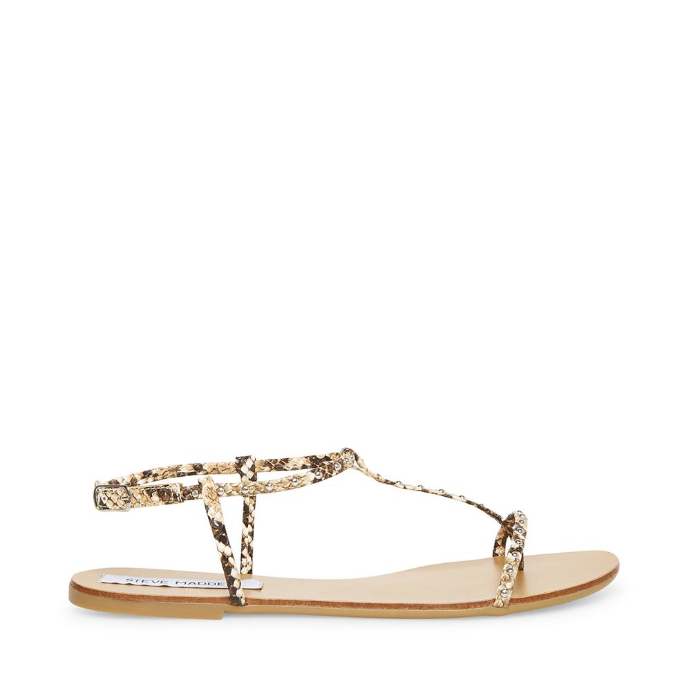 Steve Madden Women DEVISE SNAKE