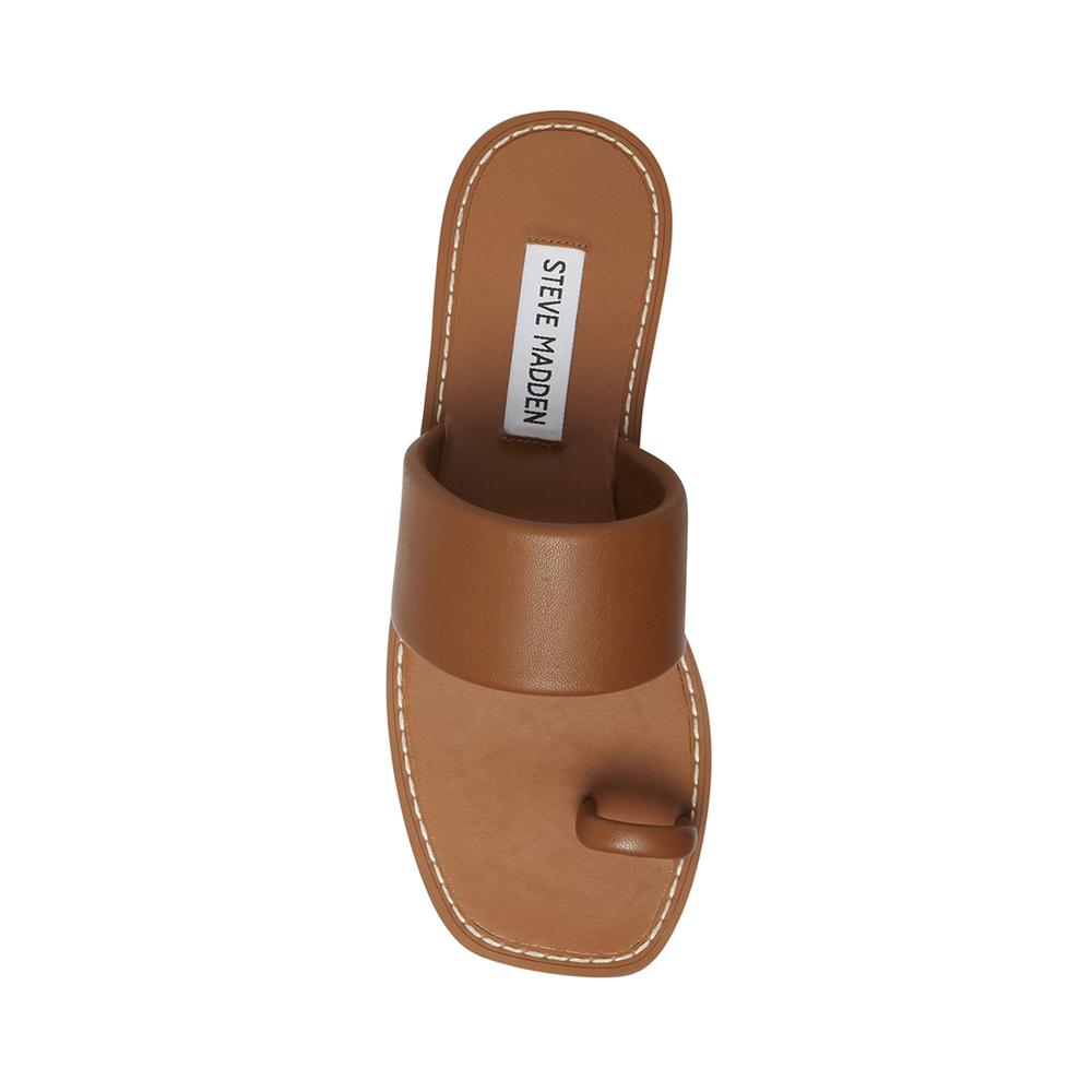 Steve Madden Women DANNI COGNAC