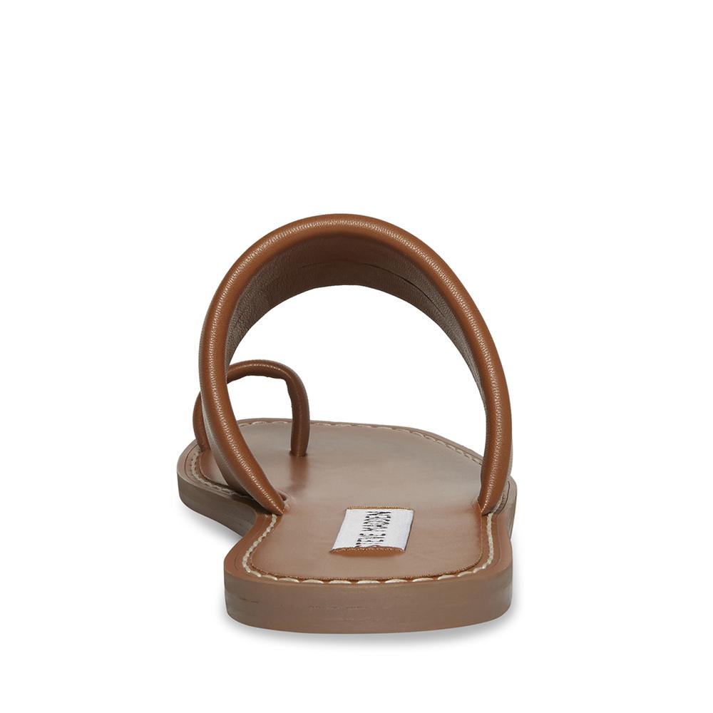Steve Madden Women DANNI COGNAC