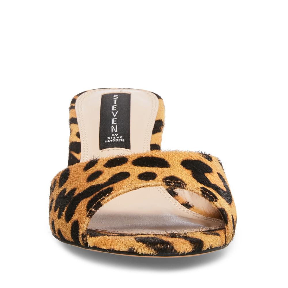 Steve Madden Women VERVE-L LEOPARD