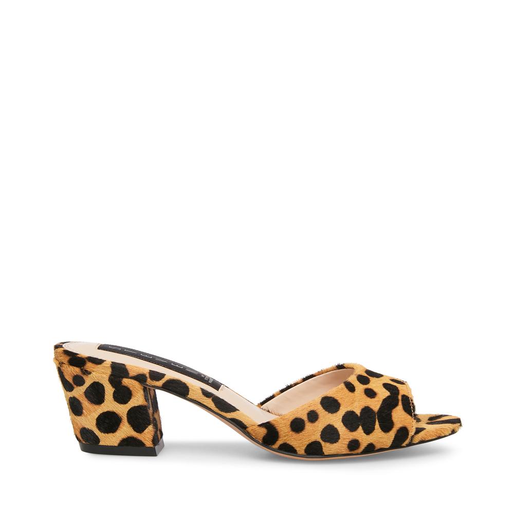 Steve Madden Women VERVE-L LEOPARD