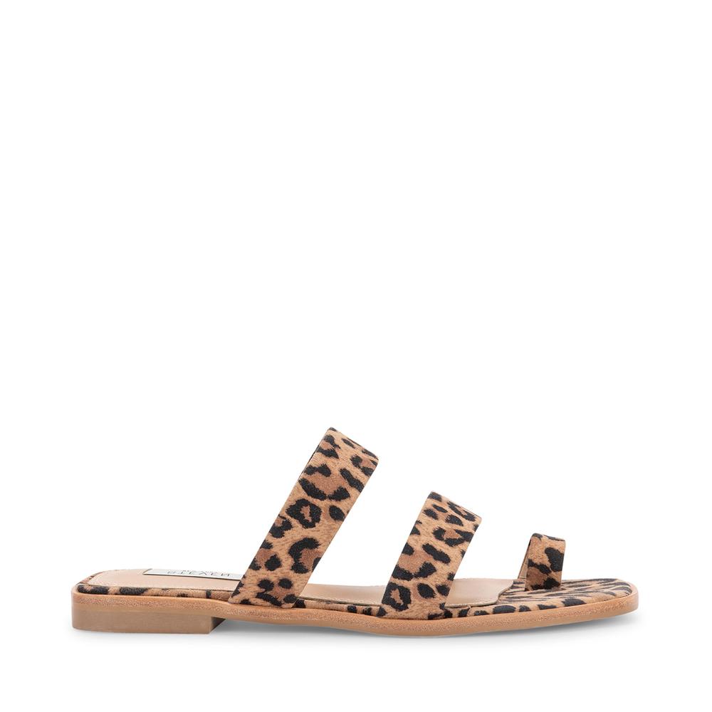 Steve Madden Women HUNTER LEOPARD