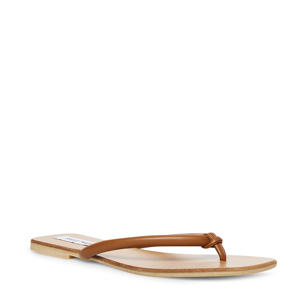 Steve Madden Women LIGHTHOUSE BROWN