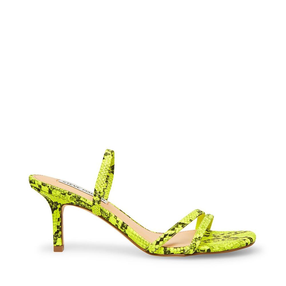 Steve Madden Women LOFT GREEN SNAKE