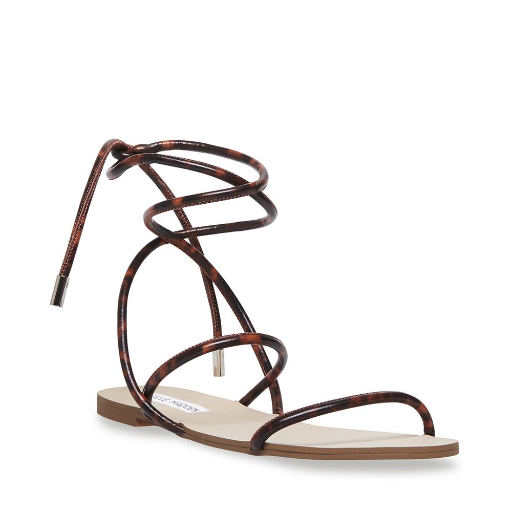 Steve Madden Women TWIRL TORTOISE