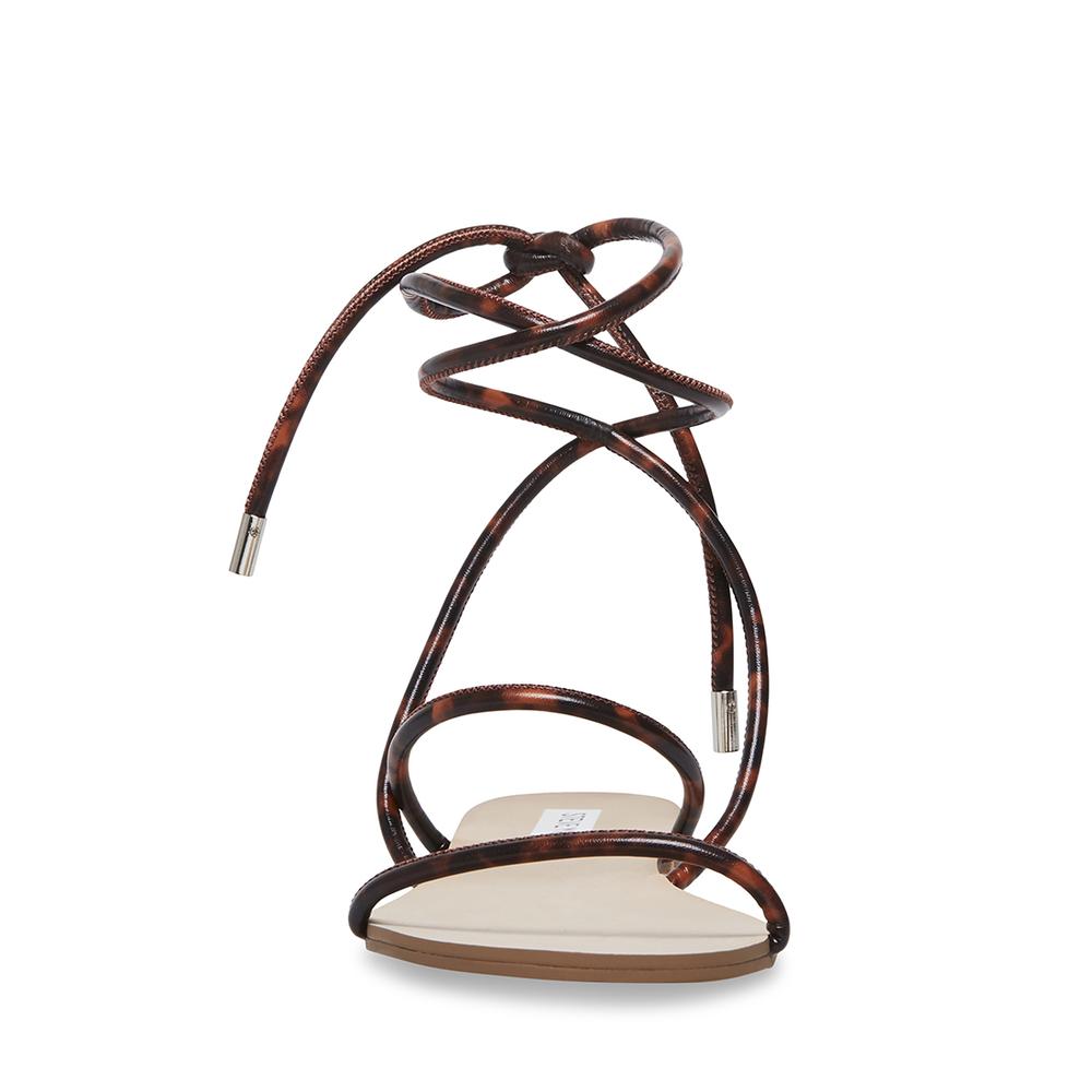 Steve Madden Women TWIRL TORTOISE