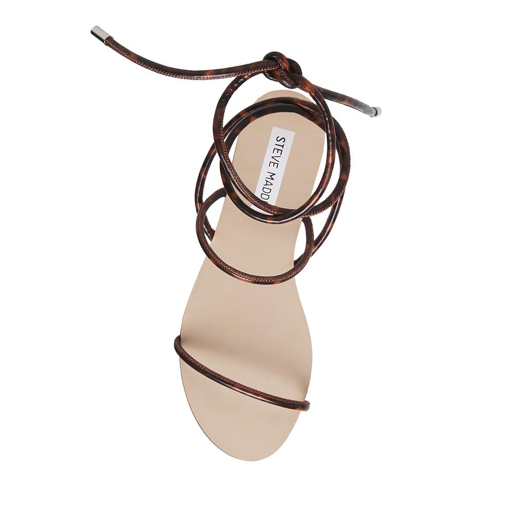 Steve Madden Women TWIRL TORTOISE