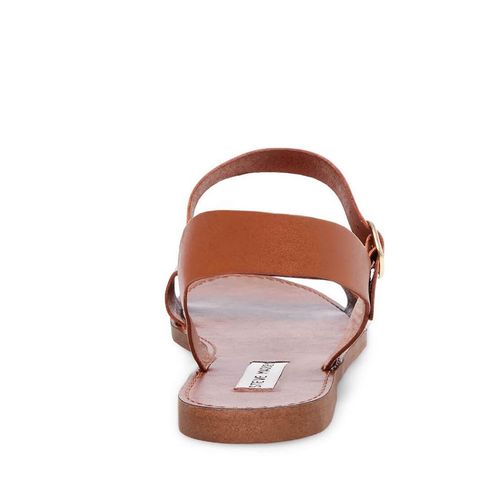 Steve Madden Women DONDDI TAN LEATHER