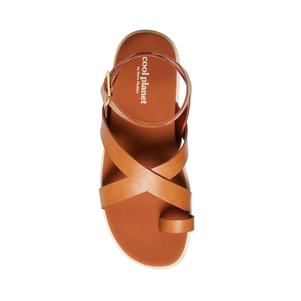 Steve Madden Women ATLAS TAN PARIS - Click Image to Close